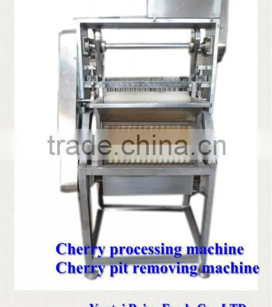 Fruit Stem Removing Machine / Chilli Stem Removing Machine photo-4