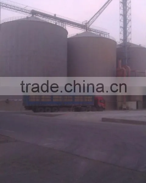 Low Price Corn Gluten Feed photo-6
