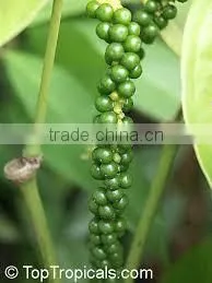 Suvimie Ceylon Black Pepper Corns photo-4