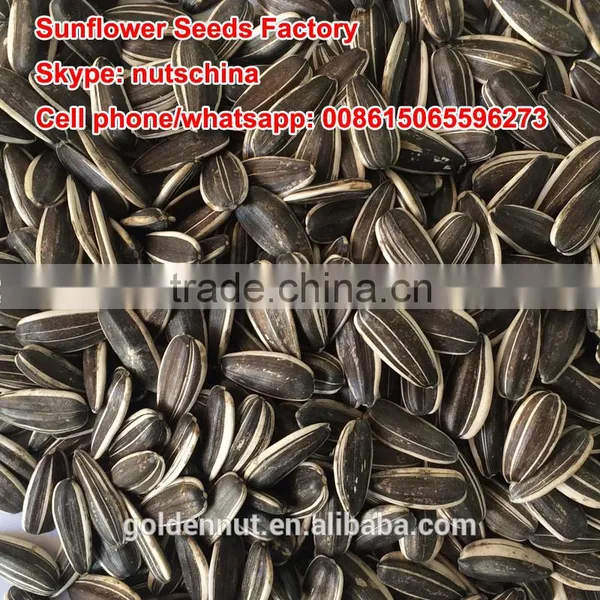 Chinese Sunflower Seeds 5009 photo-5