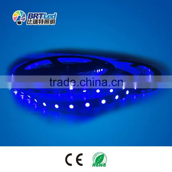 Waterproof 5050 Smd Led Strip Light IP68 Led 24 Volt Strip Light 19 w per Meter photo-2