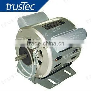 Ac Motor