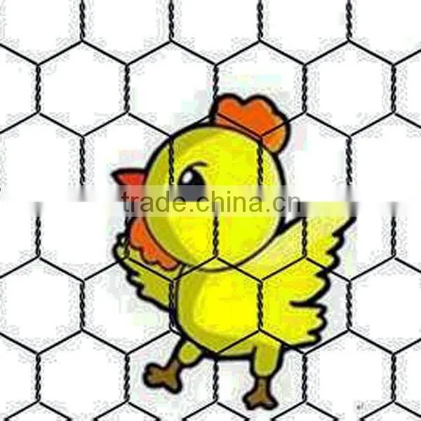Best Quality Fence Mesh Chicken Wire Mesh 1/2-4 Inch photo-6