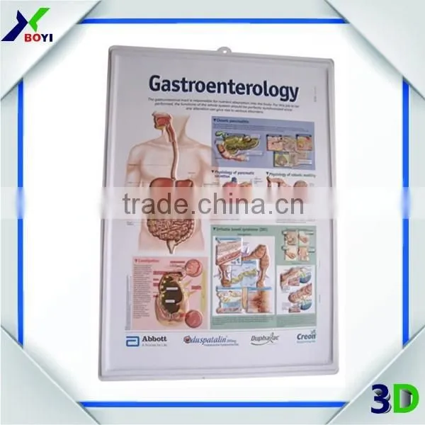 New Designs 3D PVC Embossed Medical Poster photo-4