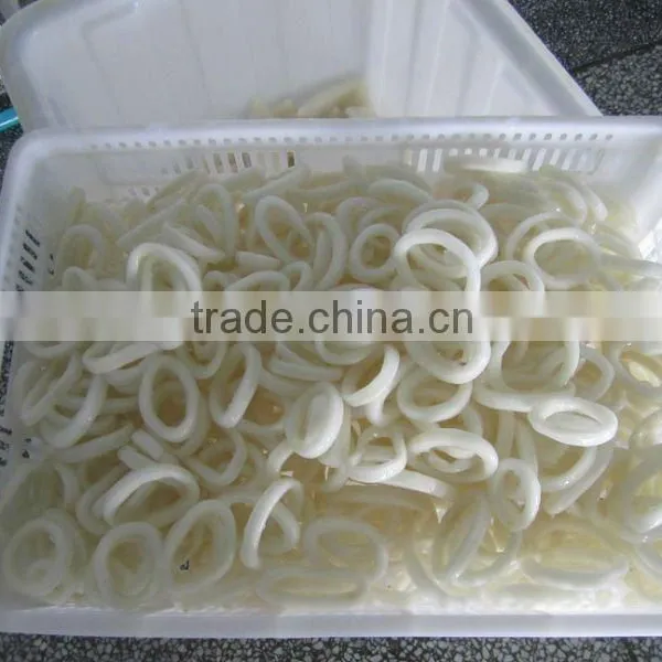 Squid Ring