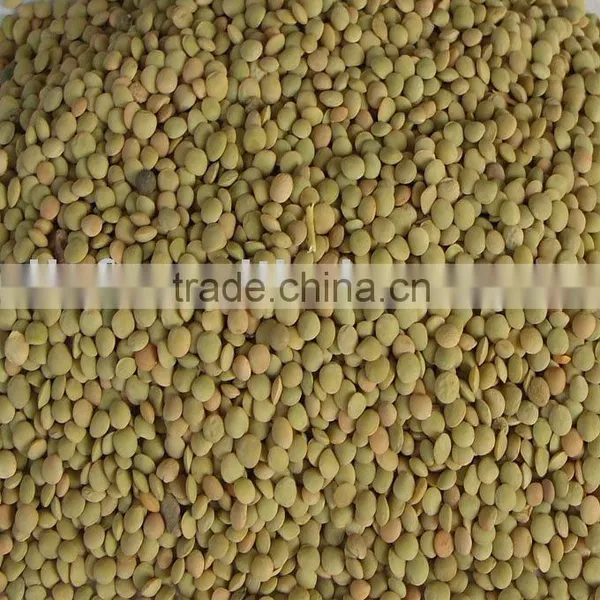 Lentil/green Lentil