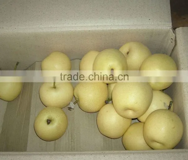 Excellent Crown With Cheaper Price for Sell photo-2