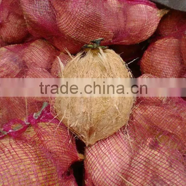 Shell Fresh Matured Coconut