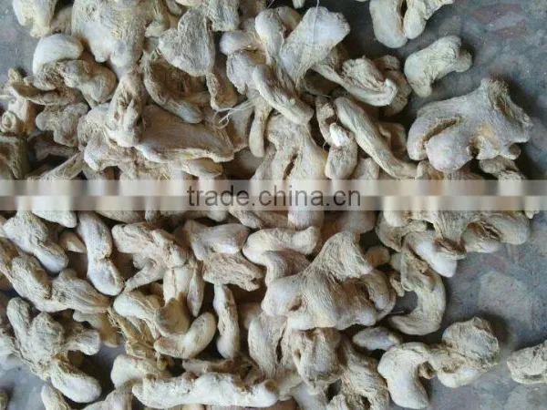 Dry Ginger photo-6