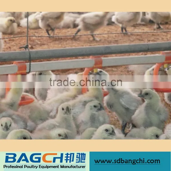 Automatic Complete Poultry Drinker Feeder Equipment photo-3