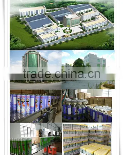 China Manufacturer for Pest Control Items High Quality Cheap Price 300ml 400ml 600ml Insecticide Spray photo-6