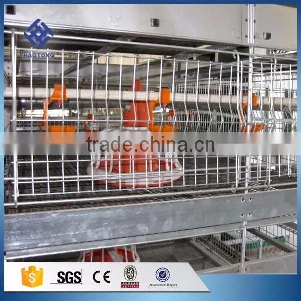 30 Years' Factory Supply Automatic Chicken Nest photo-2