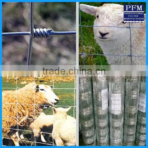 Galvanized Steel Wire Mesh Fence photo-4