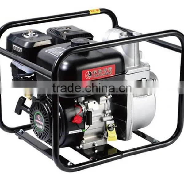 Max. Pum Lift 25m Water Pump ( CY-8QG80)