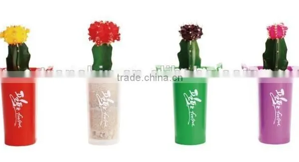 2015 Novelty Garden Flower Pot photo-3