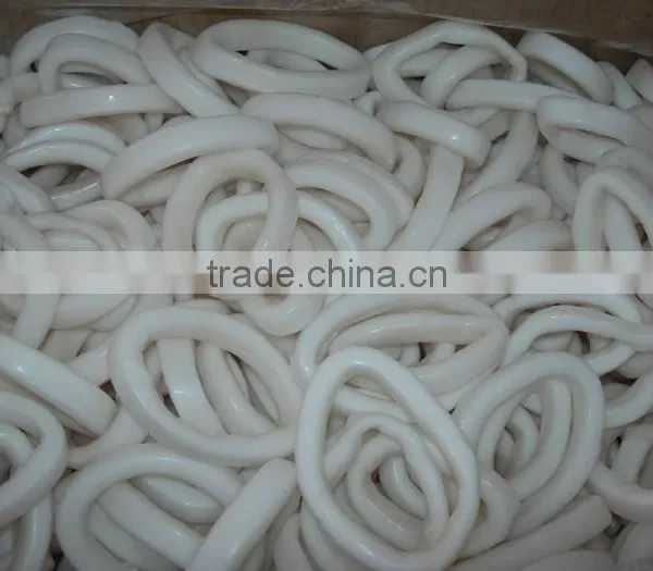 Frozen Squid Ring-Todarodes Pacificus photo-2