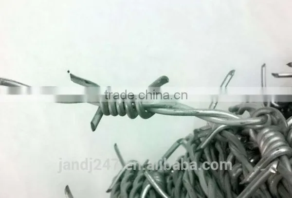 Hot Sale Electrode Galvanized Barbed Wire for Building
