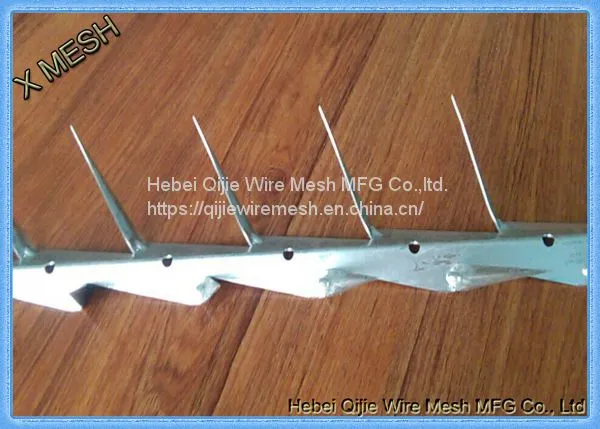 Hot Dipped Galvanized and PVC Coated Black Medium Wall Spikes photo-3