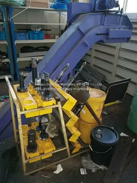 Japan Mitsubishi MVR25 Gantry 5 Face Machining Center photo-3