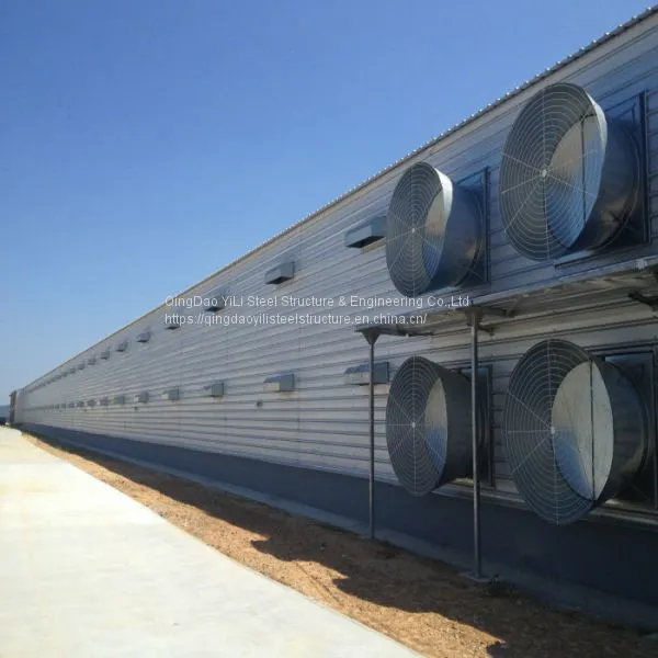 Steel Structure Design Poultry Farm Shed / Poultry Farm Structures photo-4
