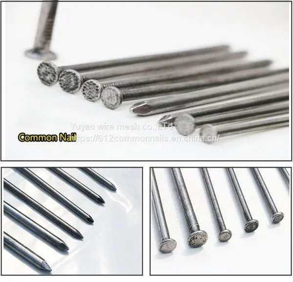 2 Inch 3 Inch Common Wire Nails/High Quality Iron Nails photo-2