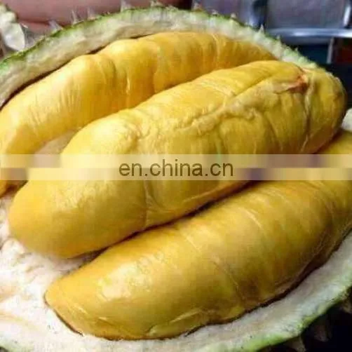 HIGH QUALITY FRESH DURIAN FROM VIET NAM photo-2