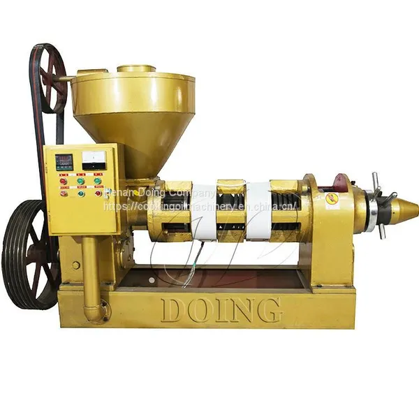 Home Use Groundnut Oil Expeller Groundnut Oil Production Machine Small Scale Groundnut Oil Processing Equipment photo-5
