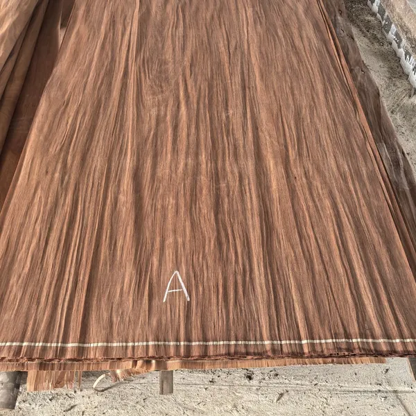 Eucalyptus Gurjan Wood veneer for making plywood