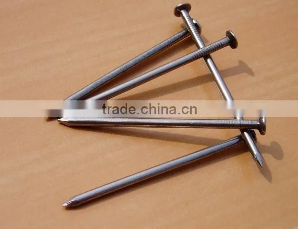 Top Quality Iron Nails Supply, Iron Nail, Common Wire Nail as Construction Material photo-5