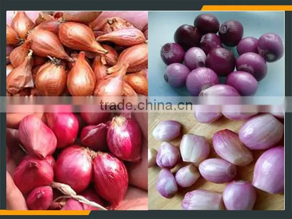 "onion Barking Machine " photo-3