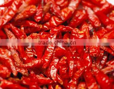 DRIED CHILLI POWDER FROM VIET NAM photo-3