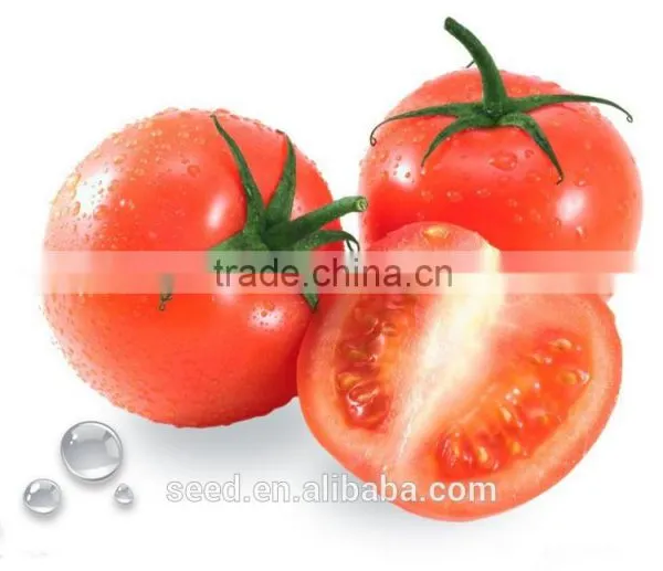 High Disease Resistance Wholesale Tomato Seed