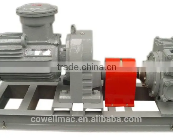 Electric Motor Rotary Vane Pump for Fuel Oil Delivery Truck photo-3