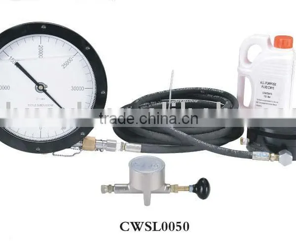 Midget Weight indicator System