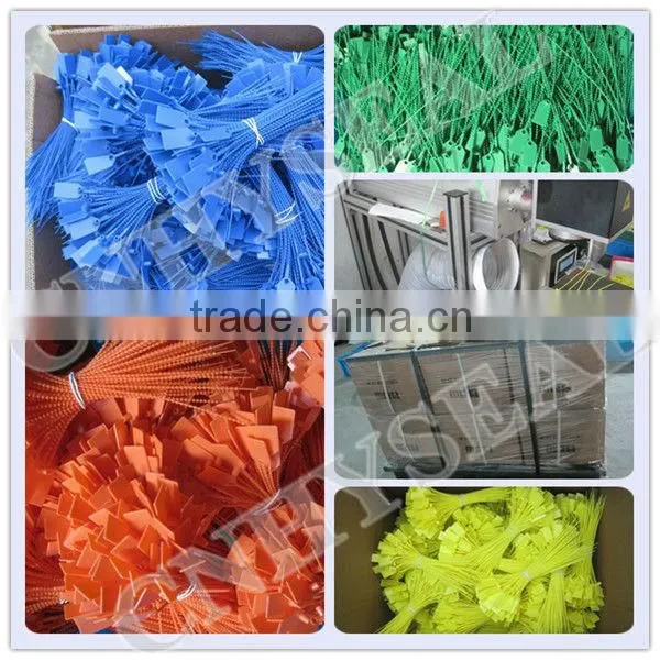 CH315 Laser Engraved Security Fire Extinguisher Plastic Seals photo-3