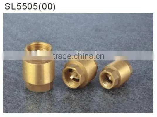 Check Valve