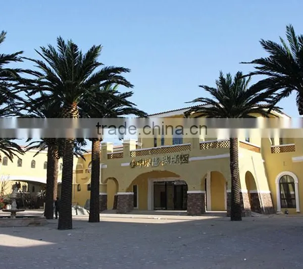Bus Station Landscaping Big Artificial Palm Tree photo-2