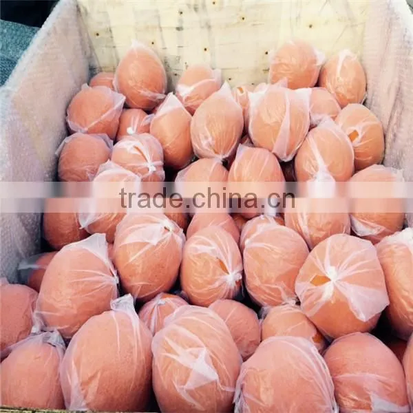 Concrete Pump Accessories Pump Cleaning Ball Cleaning Ball photo-6
