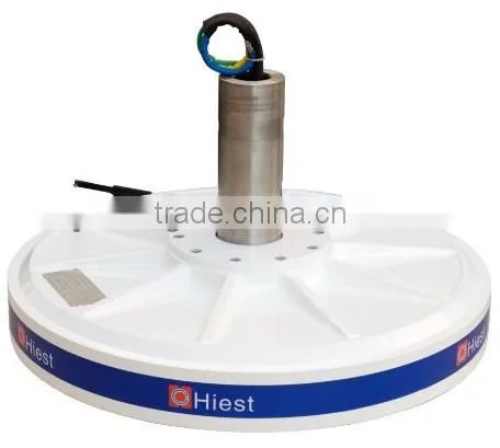 Axial Flux Permanent Magnet Generator(AFPMG450-1.0kW/120rpm)