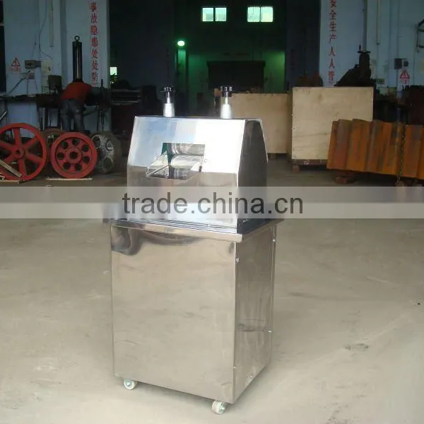 Ginger Juice Extractor