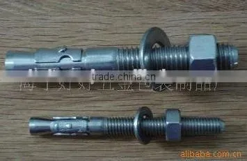 Stainless Steel Wedge Anchor photo-6