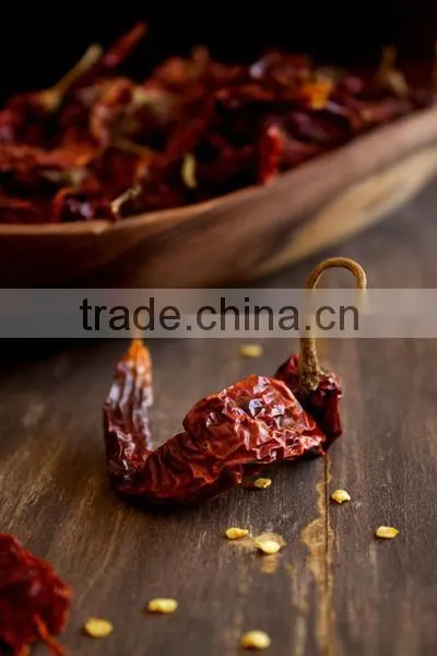 Chilly Powder Red photo-5