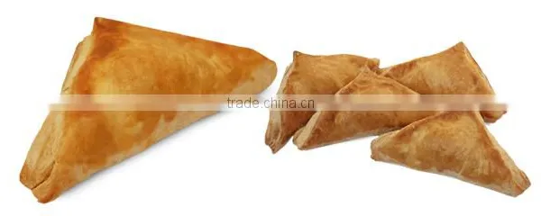 Factory Direct Sell Samosa/Spring Roll/Dumpling Making Machine photo-3