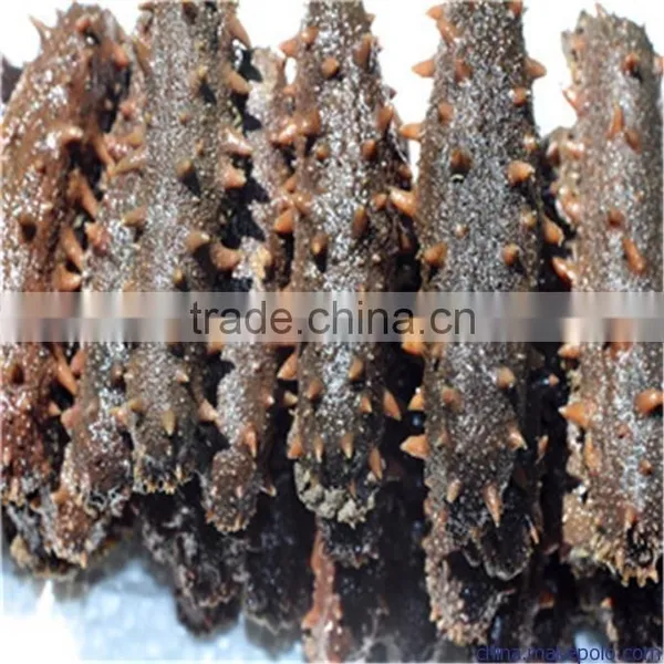 Liquid Nitrogen Fast Freeze Machine for Freezing Sea Cucumber photo-3