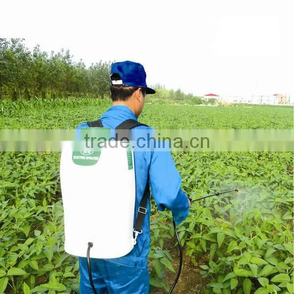 2-stroke Gasoline Engine photo-4