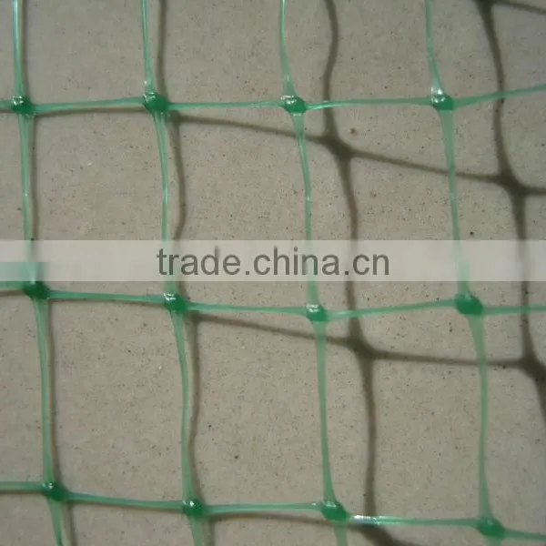 Plant Support Netting for Climbing Varieties photo-6