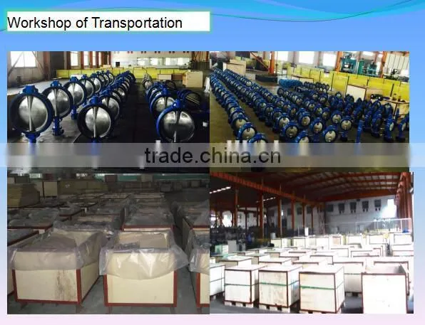 China OEM Investment Casting Valve Disc photo-6