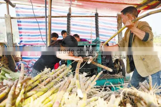 Electric Sugarcane Machine Commercial Sugarcane Juicer Sugarcane Extractor photo-6