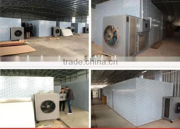 Hot Selling Ham Heat Pump Dehydrator photo-3