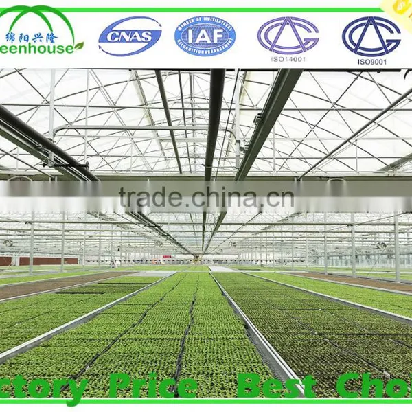 Large Size and Glass Cover Material Low Cost Greenhouse photo-6